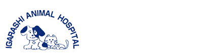 イガラシ動物病院